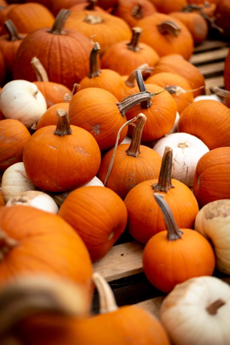 orange pumpkins on brown wooden crate